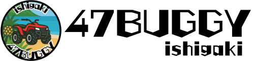 47BUGGY
